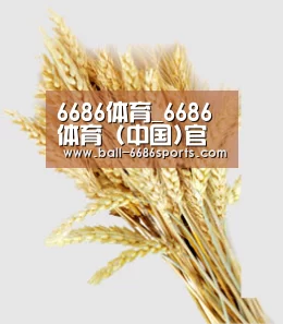 6686体育_6686体育 (中国)官方网站-6686SPORTS