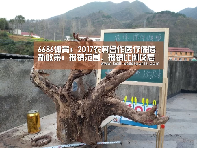 6686体育：2017农村合作医疗保险新政策：报销范围、报销比例及怎么办理